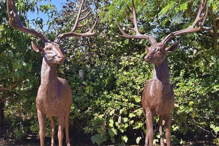 Life Size Bronze Deer Statue for Outside BABD-03