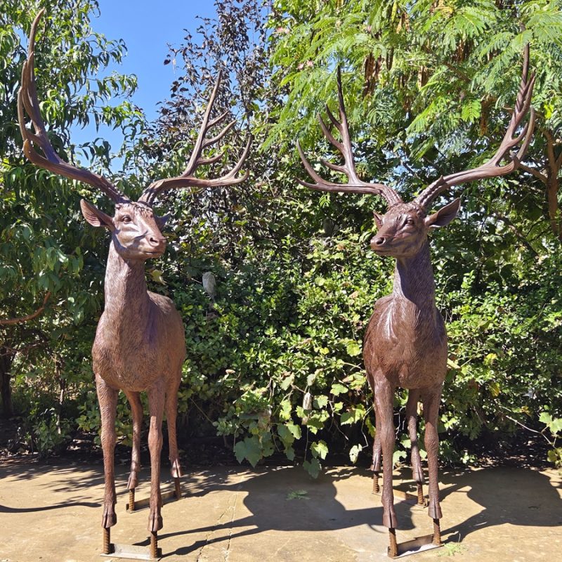 Life Size Bronze Deer Statue for Outside BABD-03