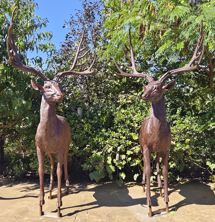 Life Size Bronze Deer Statue for Outside BABD-03