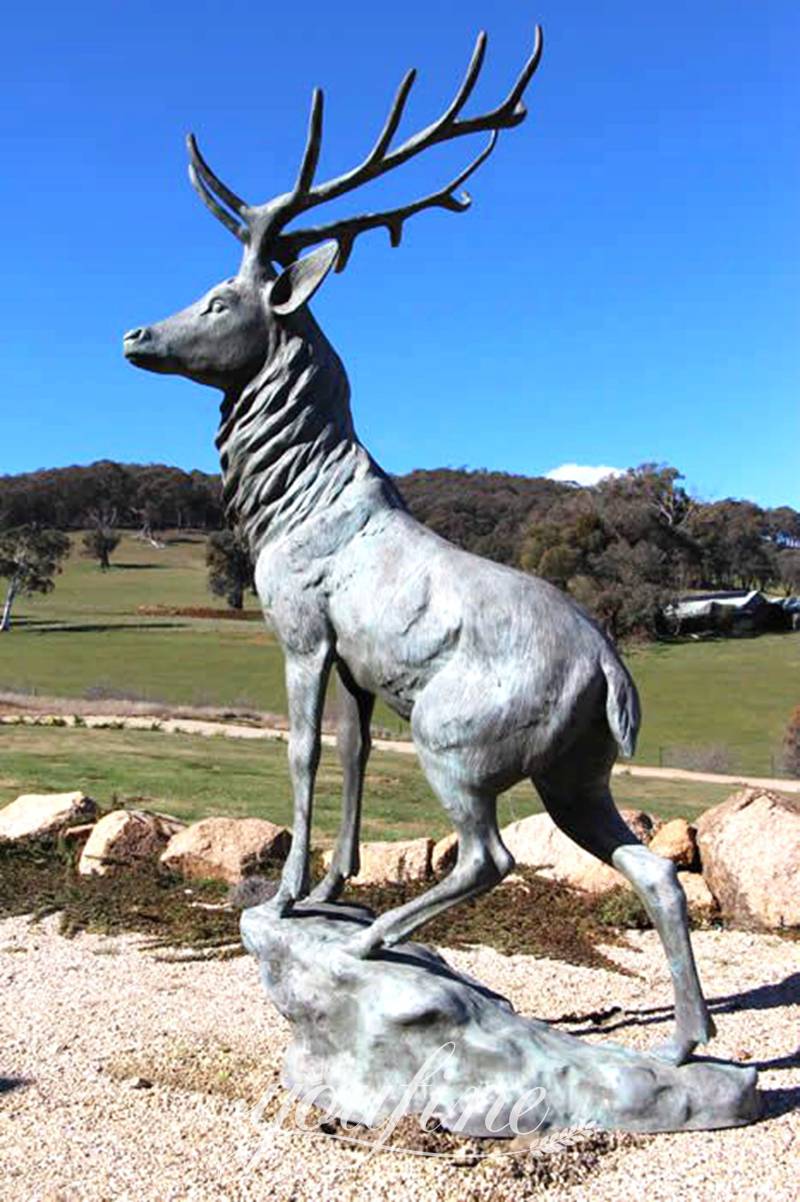 Outdoor life size bronze deer statue YouFine