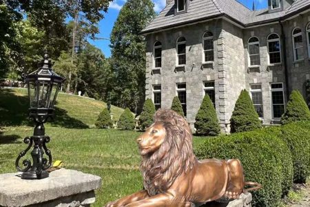 Decoration casting bronze lion statue