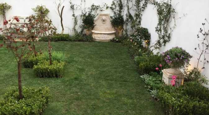 Marble lion head wall fountain