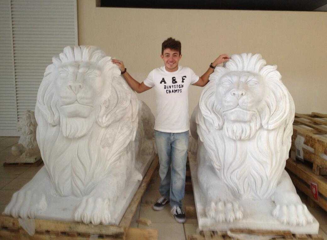 Marble Lion Statues for Brazilian Client