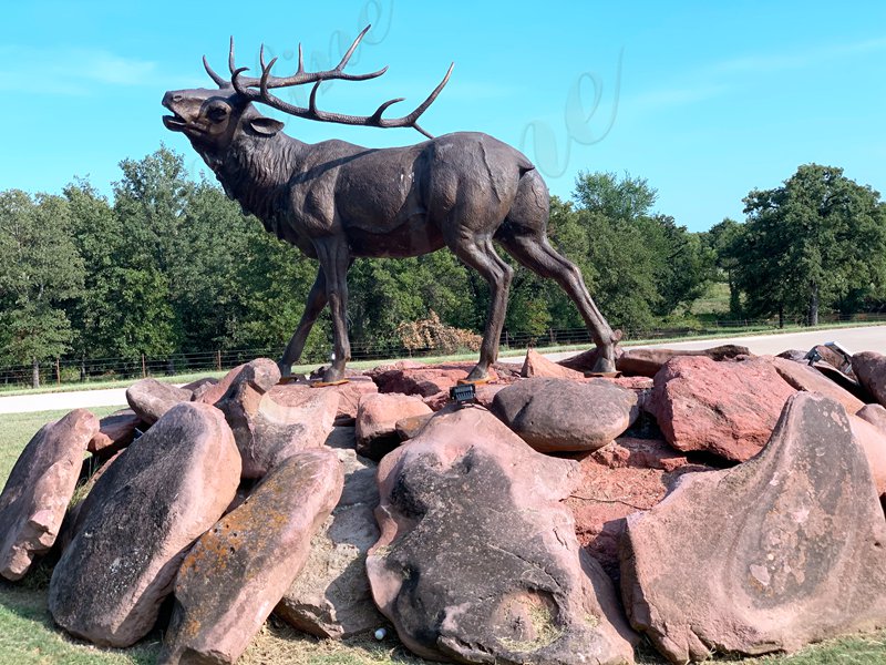 stag Sculpture Feedback.jpg