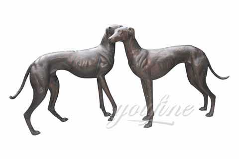 two standing greyhound dogs