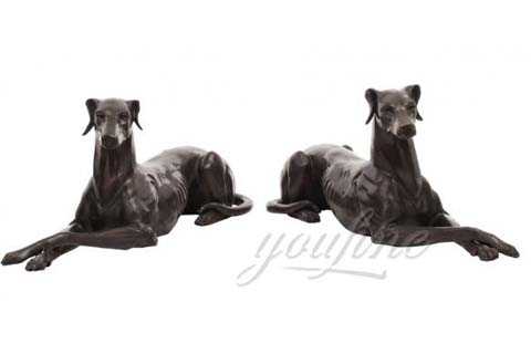 two sitting greyhound dogs