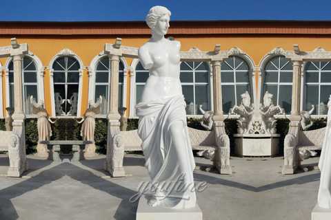 Famous Life Size Antique Marble Venus De Milo Art Statues For Sale