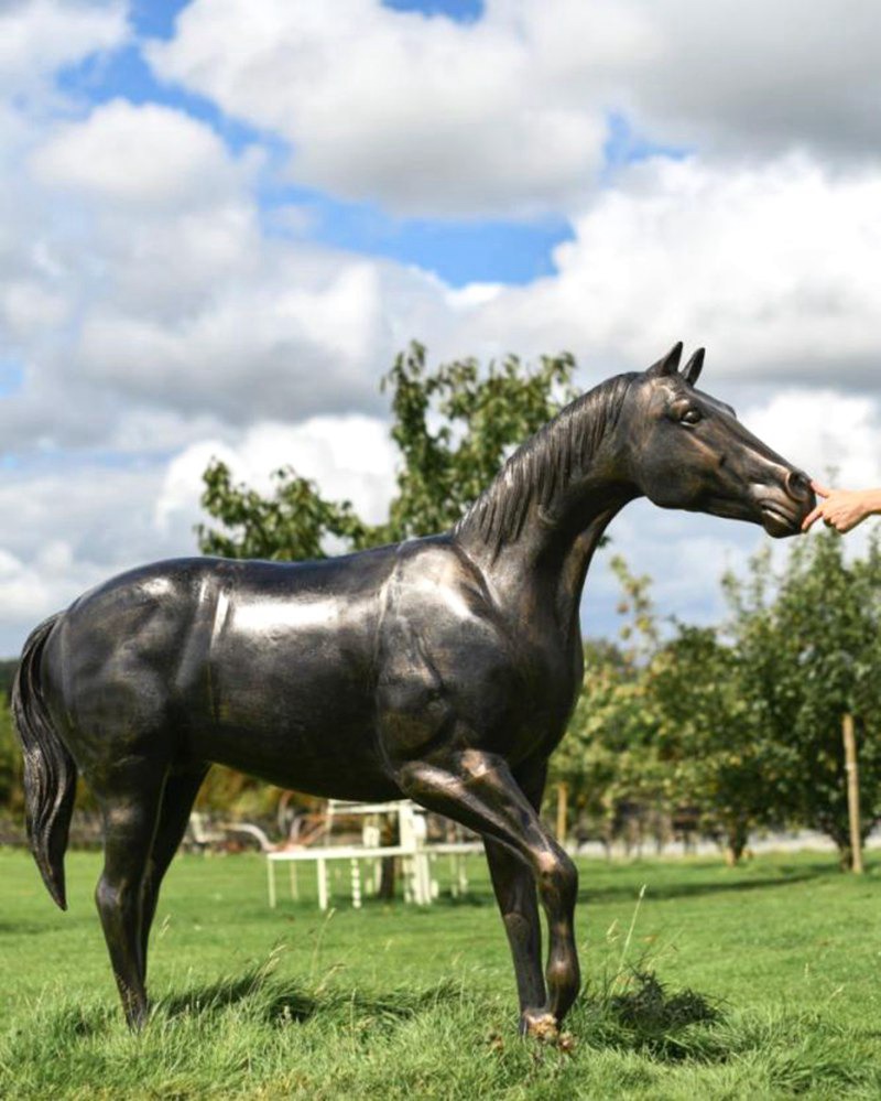 Life Size Bronze Horse Sculpture