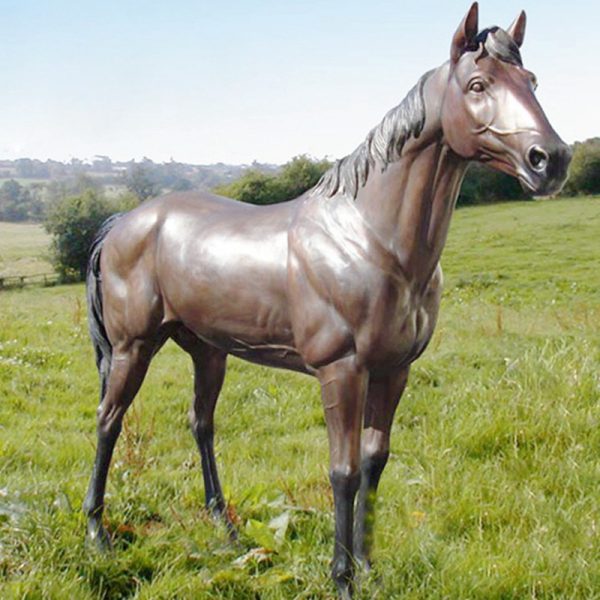 Standing Bronze horse sculpture