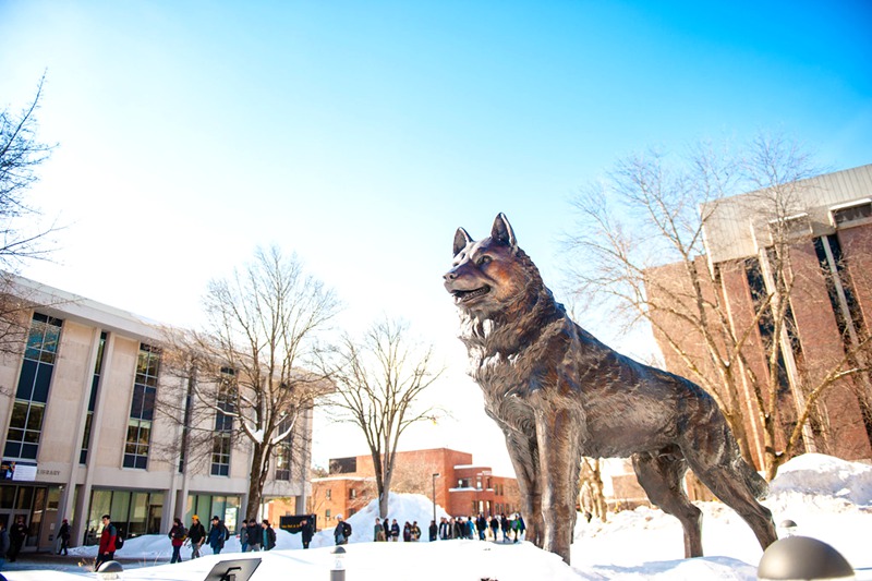 Dog sculptures