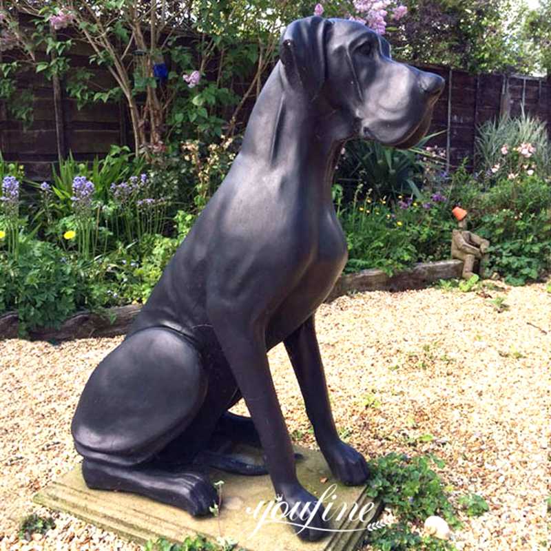 How Many Do You Know the Breeds of Dog ?