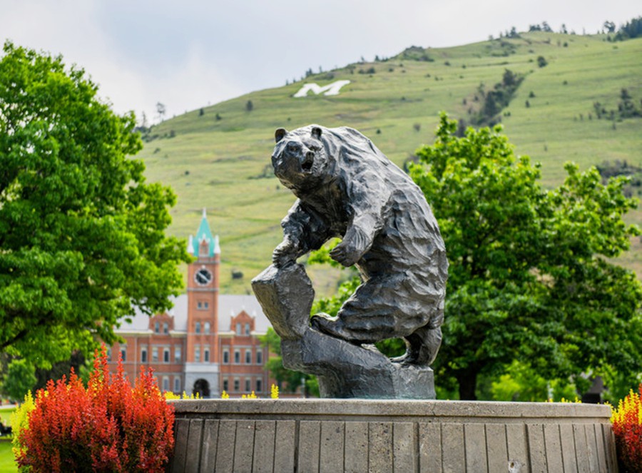 bronze grizzly statue