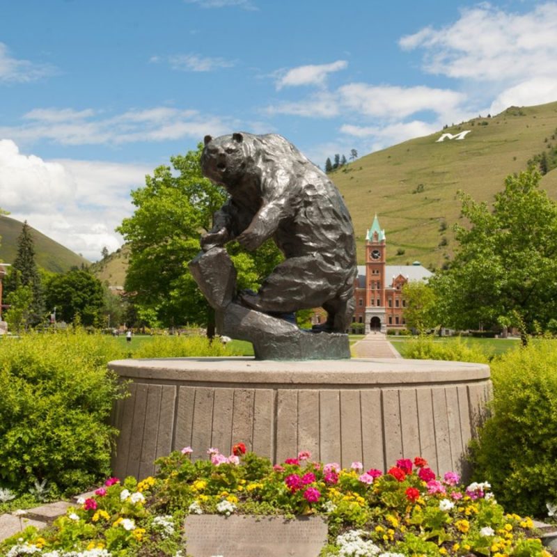 montana bronze grizzly statue