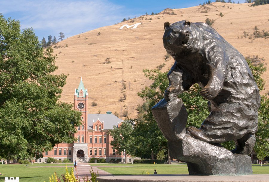 montana grizzly statue