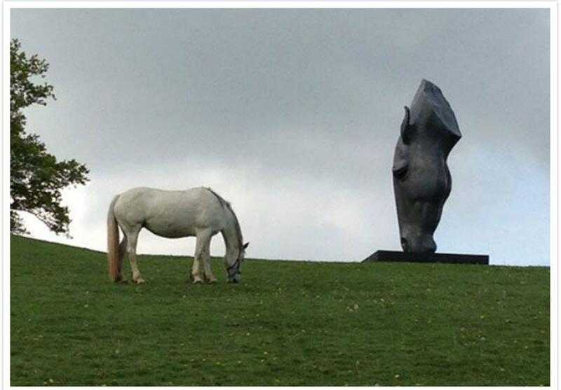 large horse head busts statue replica for sale