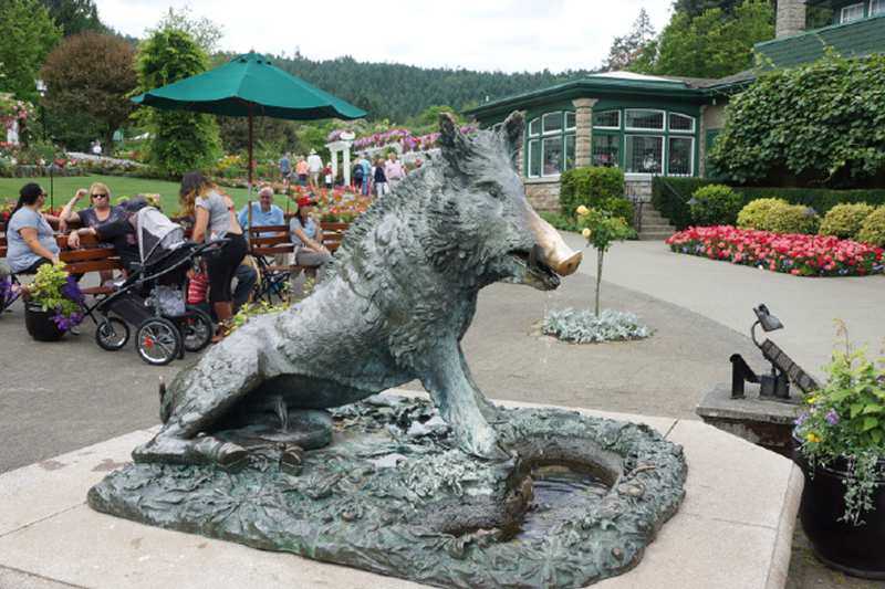 The Bronze Wild Boar Sculpture in Butchart Garden