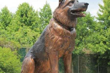 What do you know about German Shepherd?