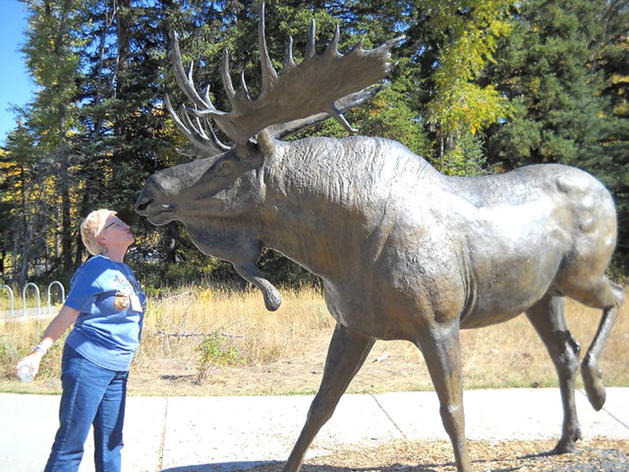 Garden Bronze Moose Statue