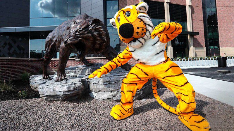 school garden tiger bronze statue