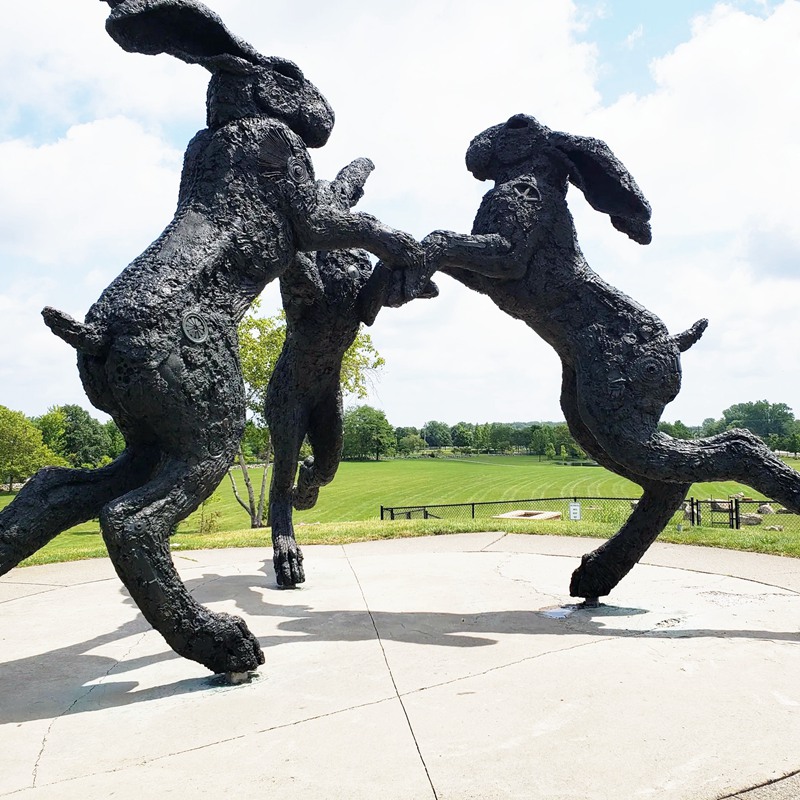 giant hares