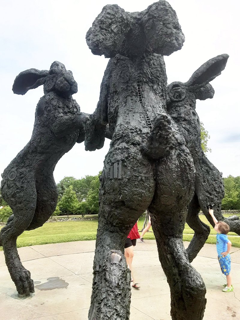 giant rabbits for sale