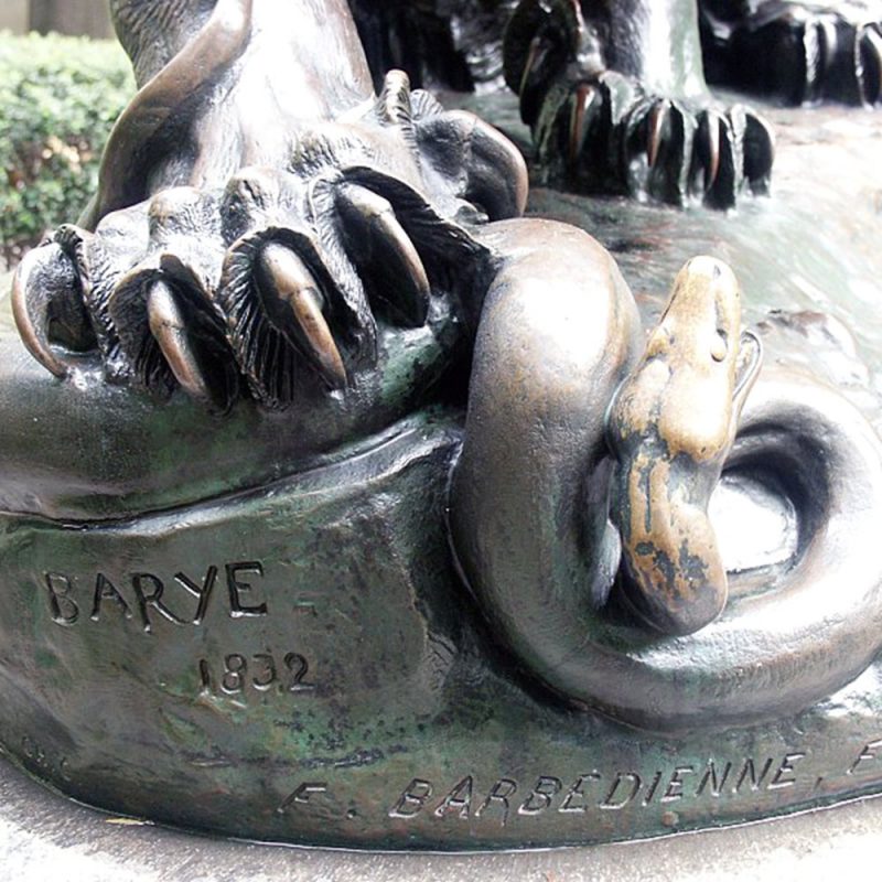 Dettaglio di un grande leone che schiaccia un serpente