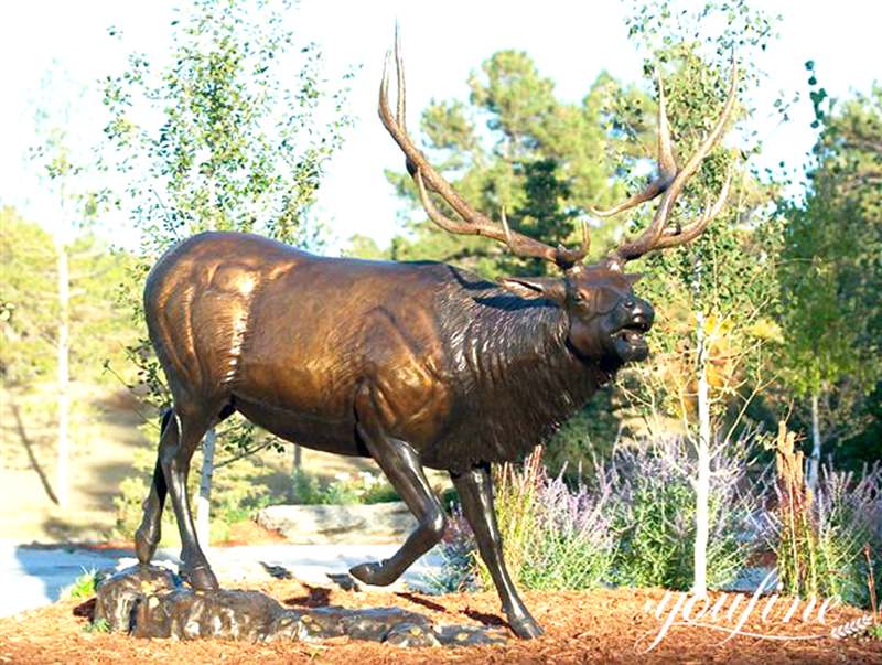 Elk Origin: