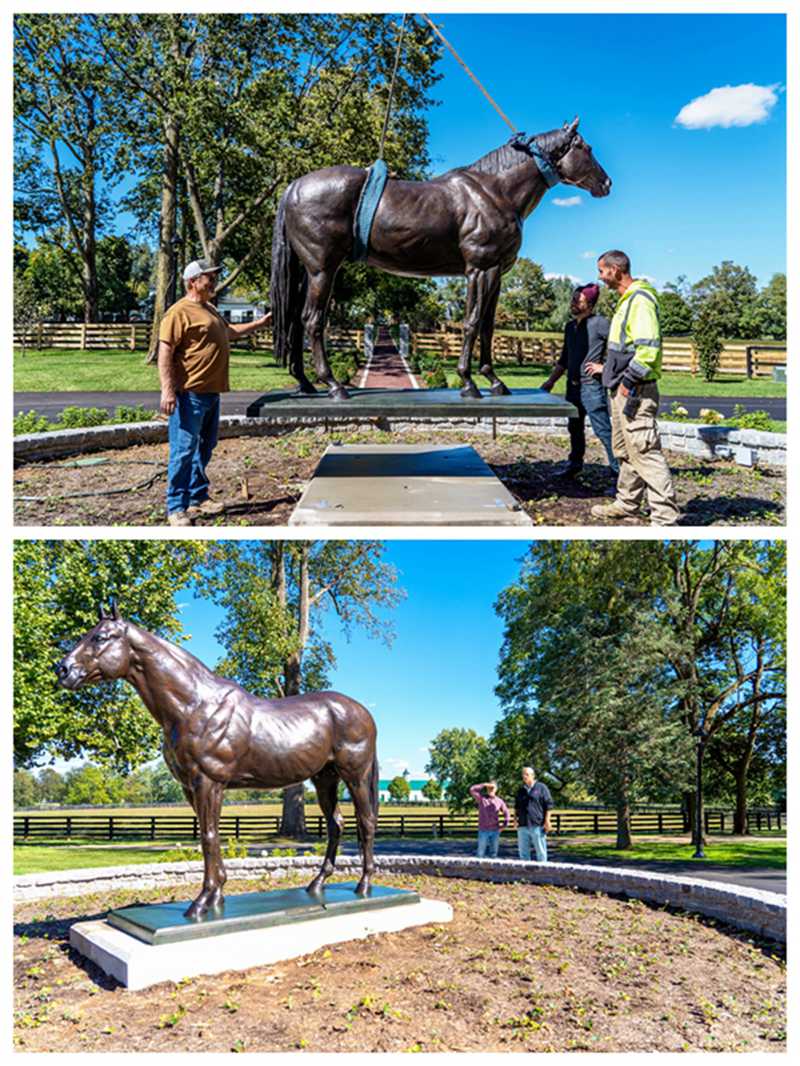 horse Racecourse decor