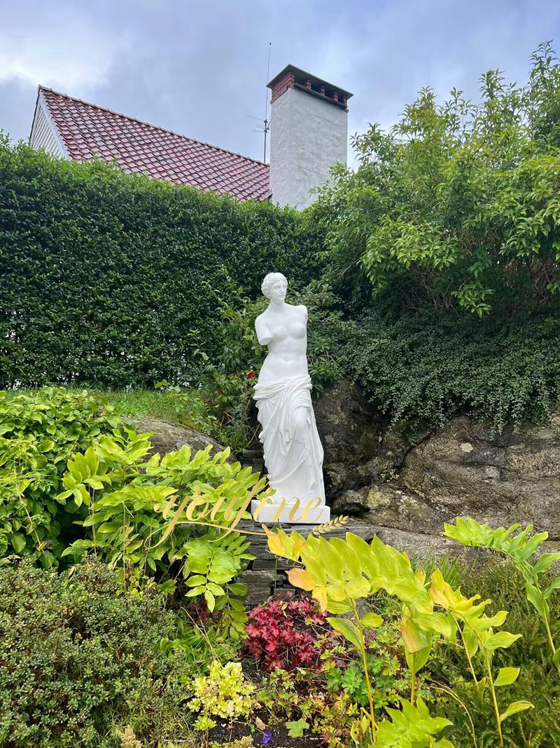 Venus statue feedback