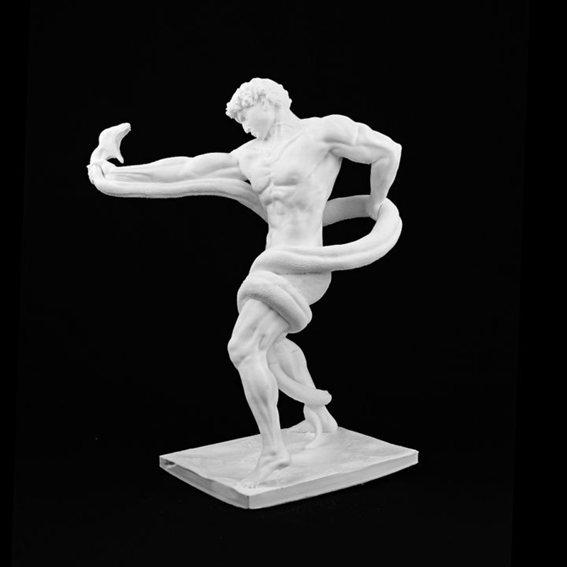 an athlete wrestling with a python replica 1