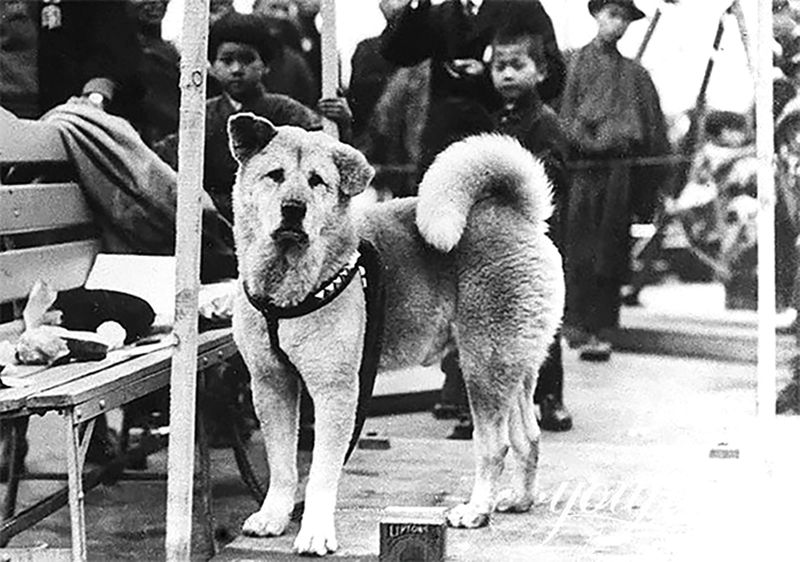 hachiko statue location-YouFine Sculpture