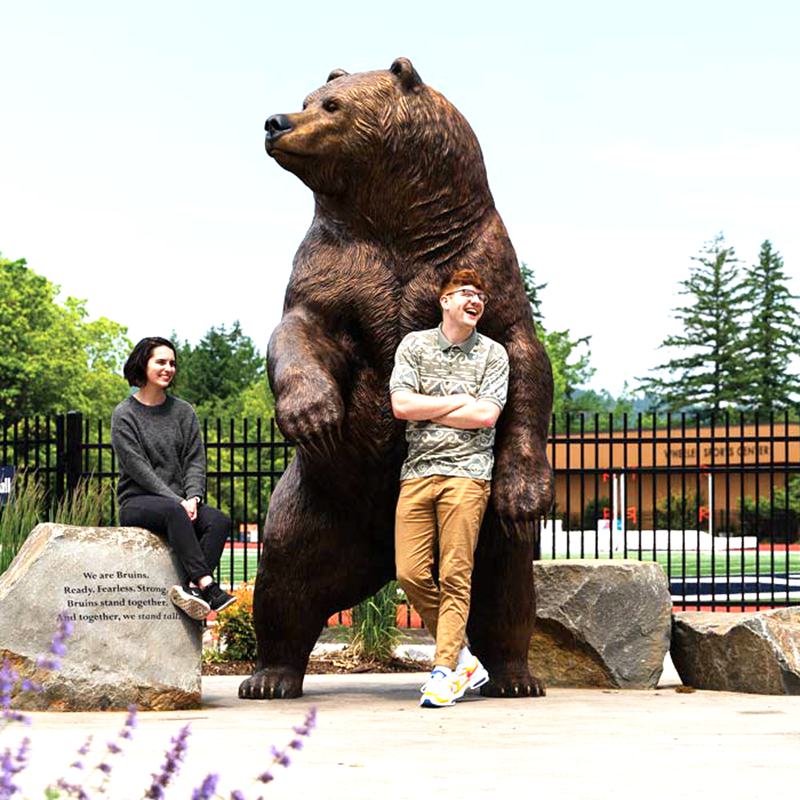 Outdoor Large Bronze Bear Statue Campus Mascot on Sale BOK1-007