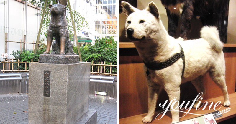 rare-photos-of-most-loyal-dog-hachiko-5e4a938a8531d__700_副本