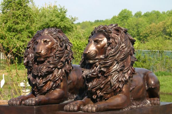 custom bronze lion statue