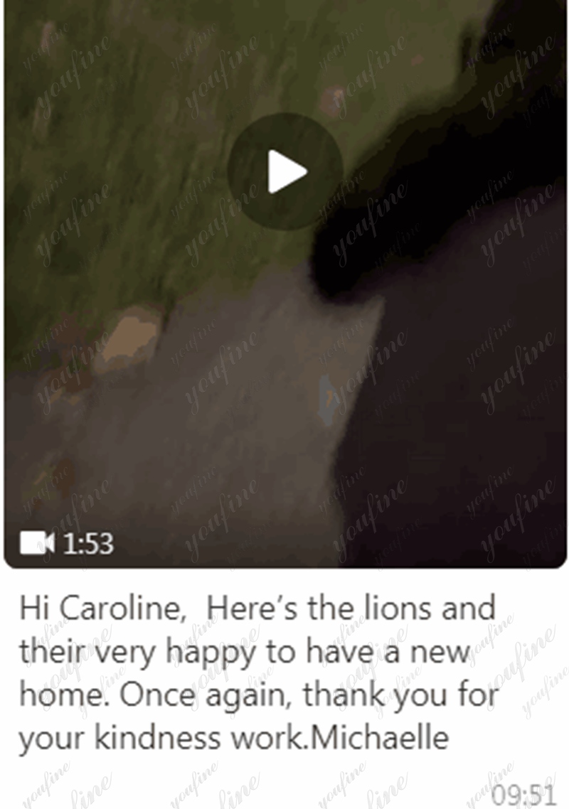 YouFine marble lion feedback 