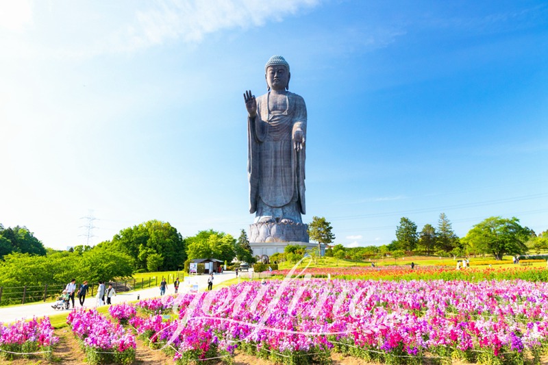 buda-ushiku-daibutsu-YouFine Sculpture