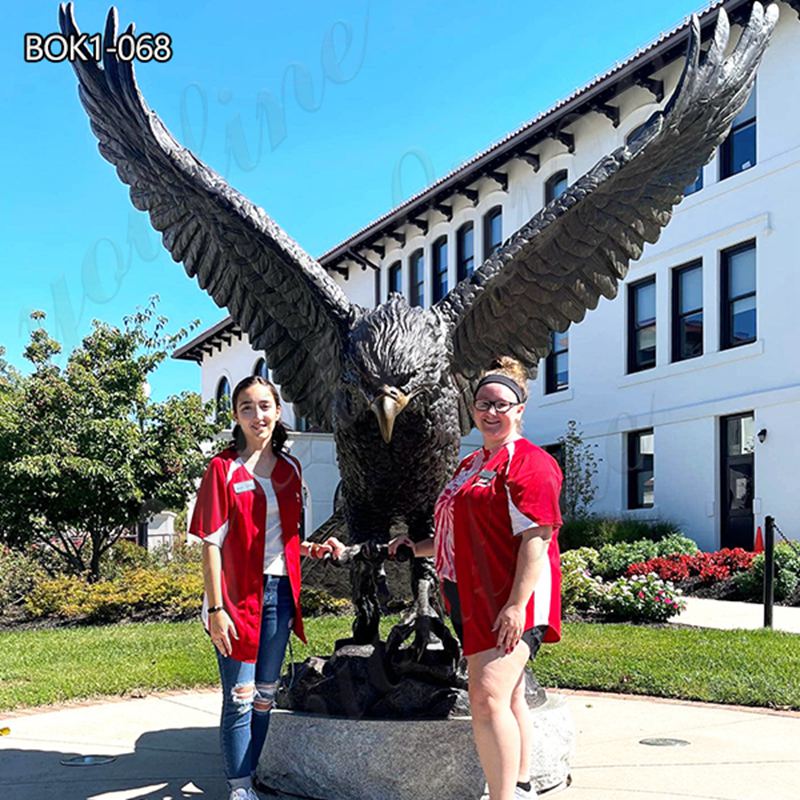 Large Bronze Hawk Statue for School Garden BOK1-068