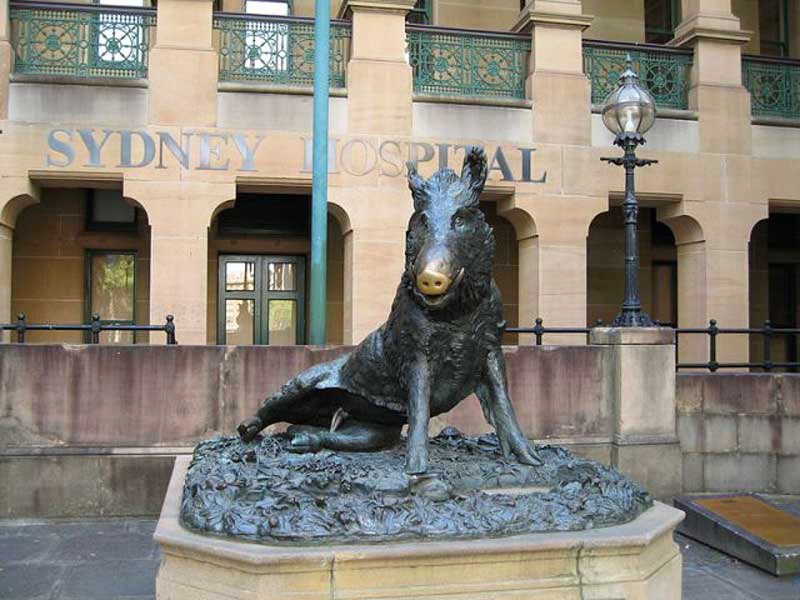 Bronze wild boar-Porcellino