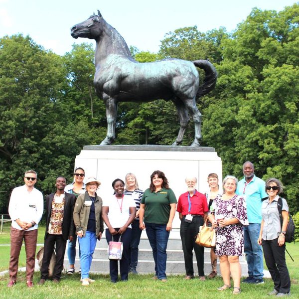 Lifesize Bronze Morgan horse statue