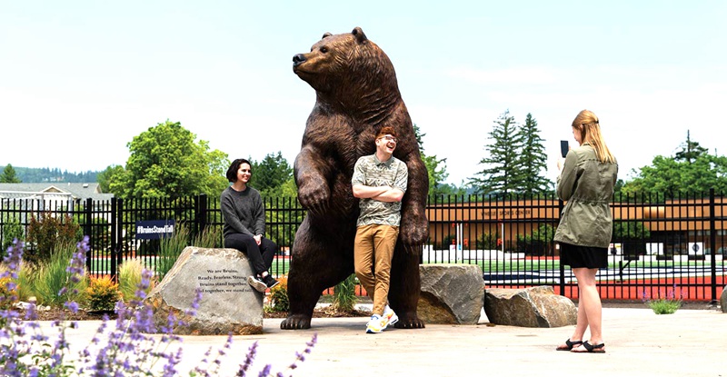 Outdoor Large Bronze Bear Statue Campus Mascot on Sale BOK1-007