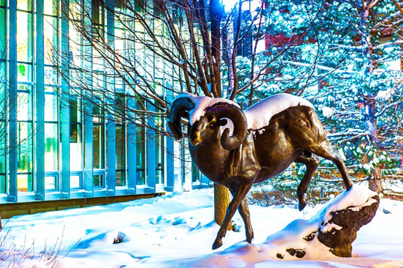 Ram On Rock Bronze Sculptures