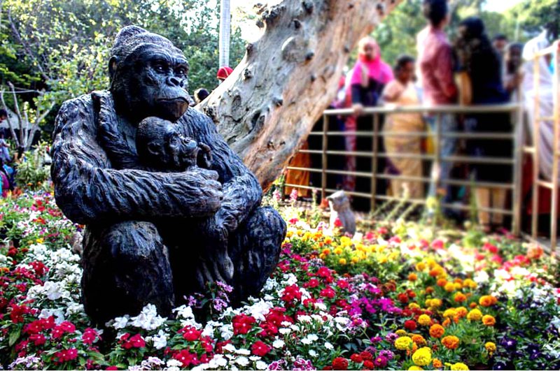gorilla statue
