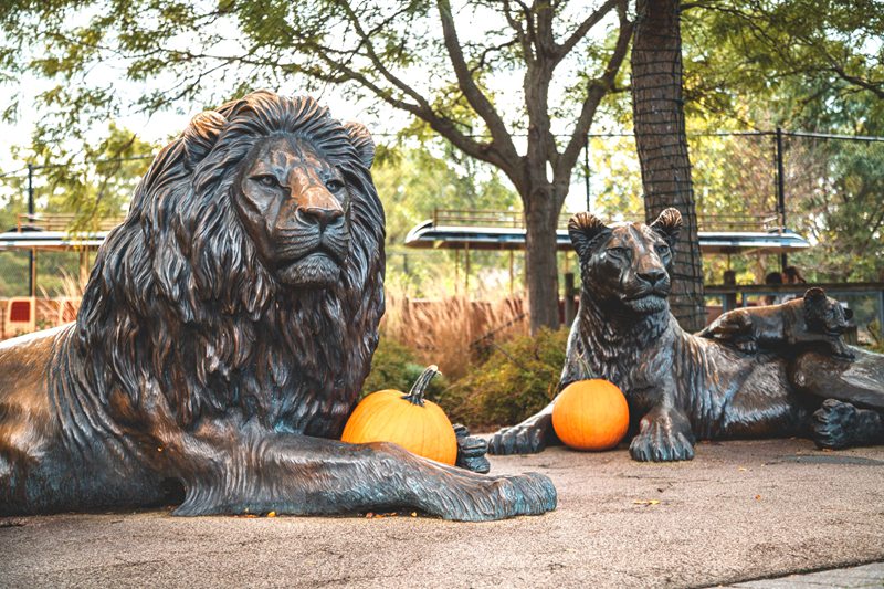 lion family Statue
