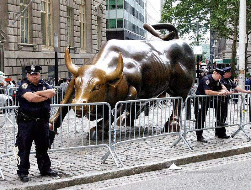 bull
