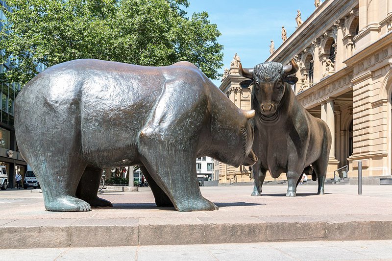 bulls in wall street