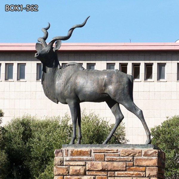 Antelope Kudu