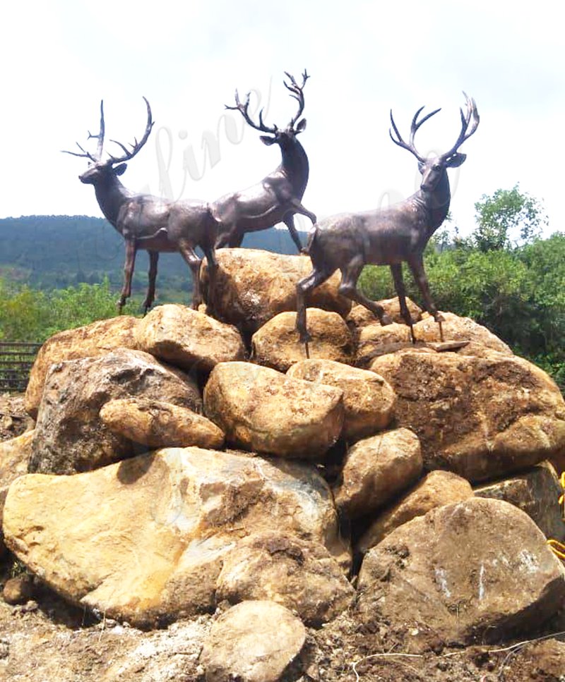 bronze stag sculpture