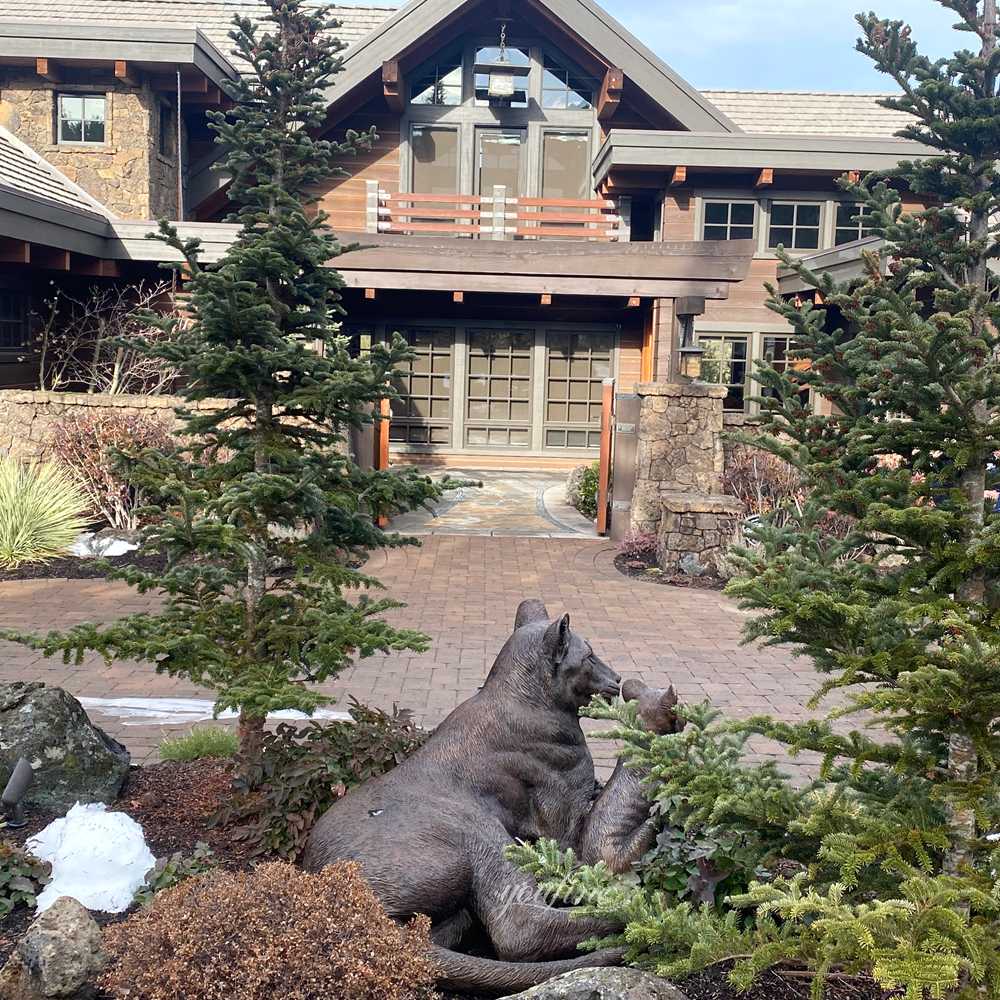 Cozy lifesize Mother and Cub Lion Statue feedback