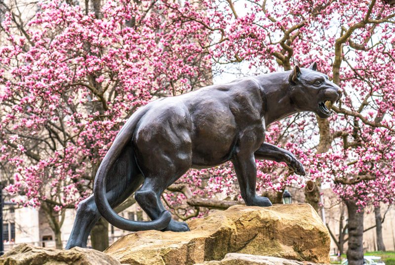 Bronze Wildlife Pitt Panther