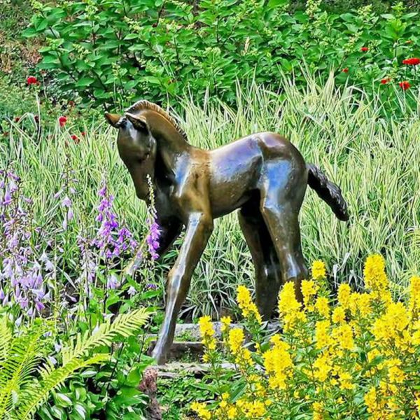 bronze foal sculpture